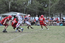 Enlarge photo 763