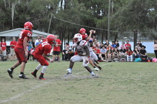 Enlarge photo 764