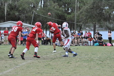 Enlarge photo 765