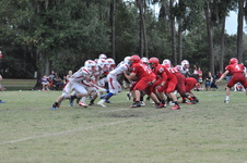 Enlarge photo 767
