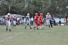 Enlarge photo 774