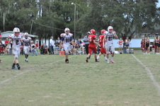 Enlarge photo 778