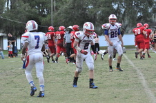 Enlarge photo 779