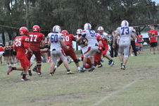 Enlarge photo 783