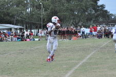 Enlarge photo 804