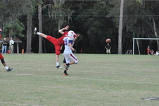 Enlarge photo 817
