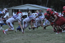 Enlarge photo 847