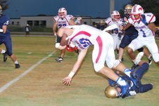 Enlarge photo 44