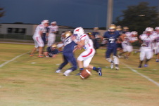 Enlarge photo 51