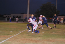 Enlarge photo 62