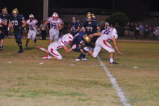 Enlarge photo 91