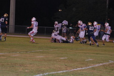 Enlarge photo 121
