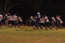 Enlarge photo 114