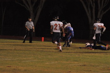 Enlarge photo 115