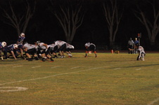 Enlarge photo 135