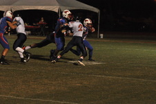 Enlarge photo 397