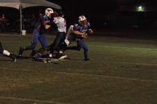 Enlarge photo 398