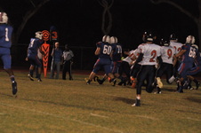 Enlarge photo 423