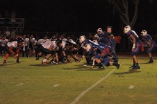 Enlarge photo 451
