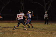 Enlarge photo 462