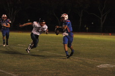 Enlarge photo 491