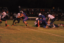Enlarge photo 519