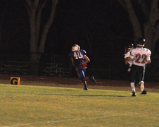 Enlarge photo 532