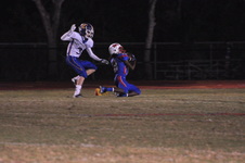 Enlarge photo 203