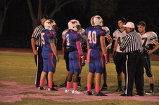 Enlarge photo 46