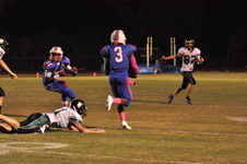 Enlarge photo 105