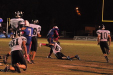 Enlarge photo 107