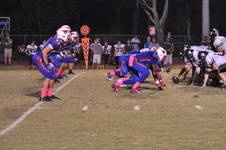 Enlarge photo 135