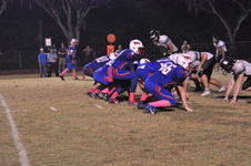 Enlarge photo 475