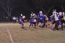 Enlarge photo 484