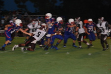 Enlarge photo 81