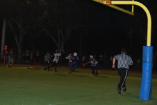 Enlarge photo 88
