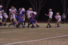 Enlarge photo 41