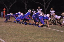 Enlarge photo 135