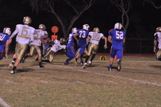 Enlarge photo 143