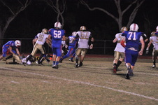 Enlarge photo 146