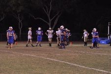 Enlarge photo 153