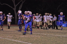 Enlarge photo 155