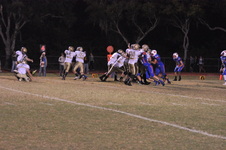 Enlarge photo 467
