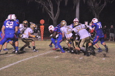 Enlarge photo 484