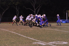 Enlarge photo 517