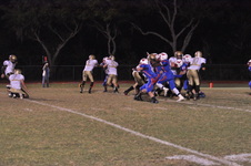 Enlarge photo 518