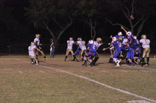 Enlarge photo 519