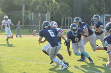 Enlarge photo 41