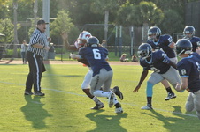 Enlarge photo 42