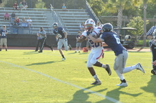 Enlarge photo 44